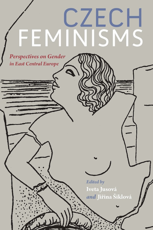 Czech Feminisms by Iveta Jusov�, Paperback | Indigo Chapters