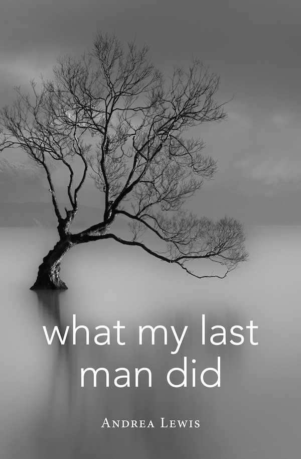 What My Last Man Did by Andrea Lewis, Paperback | Indigo Chapters