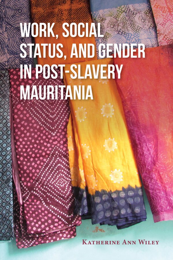 Work Social Status And Gender In Post-slavery Mauritania by Katherine A. Wiley, Paperback | Indigo Chapters