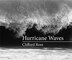 Hurricane Waves by Clifford Ross, Hardcover | Indigo Chapters