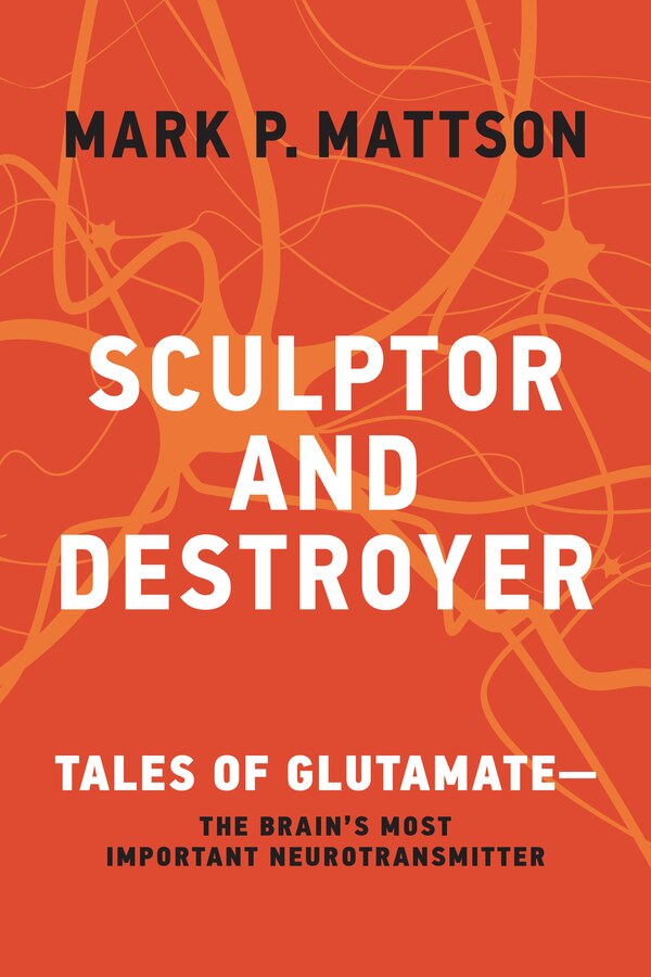 Sculptor and Destroyer by Mark P. Mattson, Paperback | Indigo Chapters
