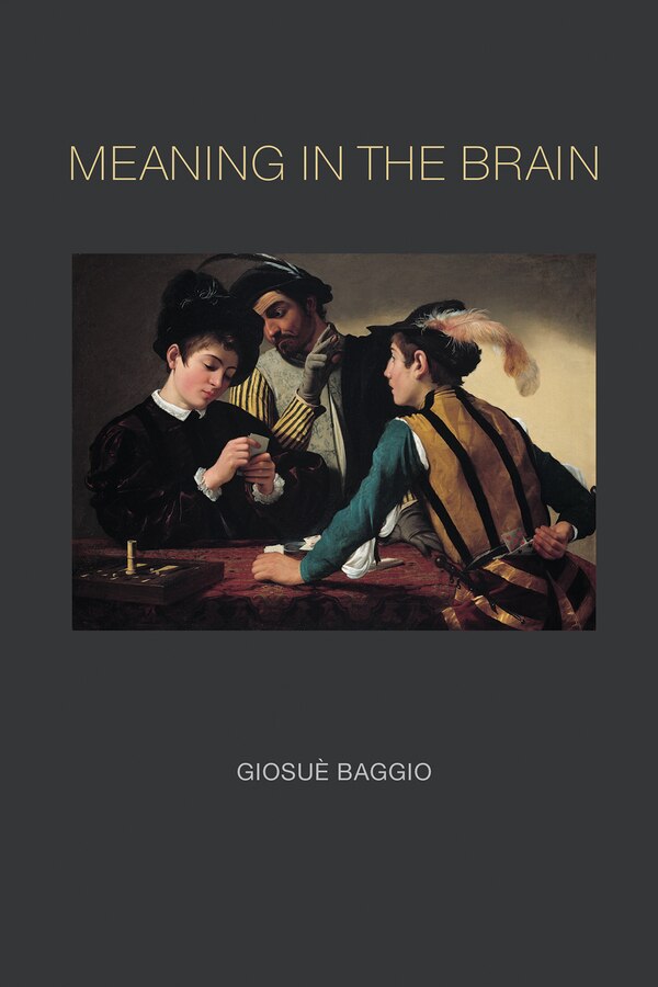 Meaning in the Brain by Giosue Baggio, Paperback | Indigo Chapters