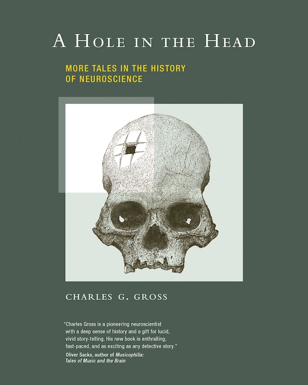 A Hole in the Head by Charles G. Gross, Paperback | Indigo Chapters