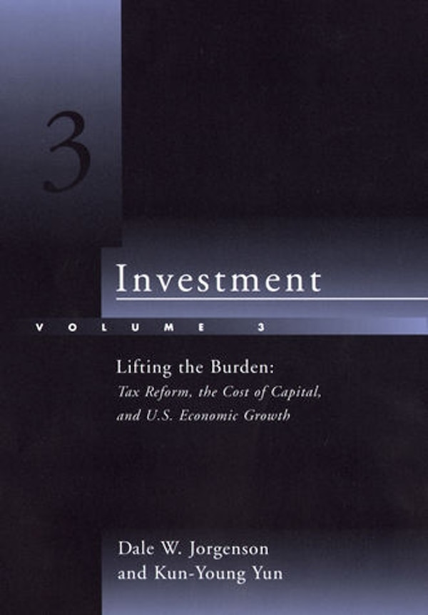 Investment Volume 3 by Dale W. Jorgenson, Paperback | Indigo Chapters