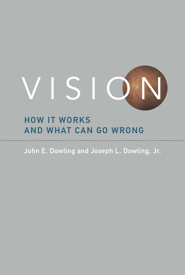 Vision by John E. Dowling, Paperback | Indigo Chapters