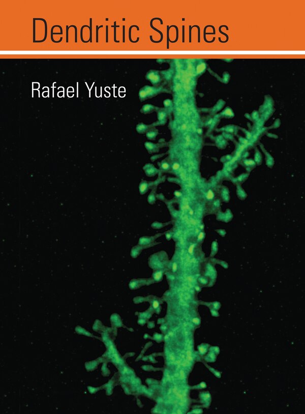 Dendritic Spines by Rafael Yuste, Paperback | Indigo Chapters