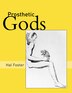 Prosthetic Gods by Hal Foster, Paperback | Indigo Chapters