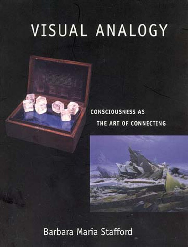 Visual Analogy by Barbara Maria Stafford, Paperback | Indigo Chapters