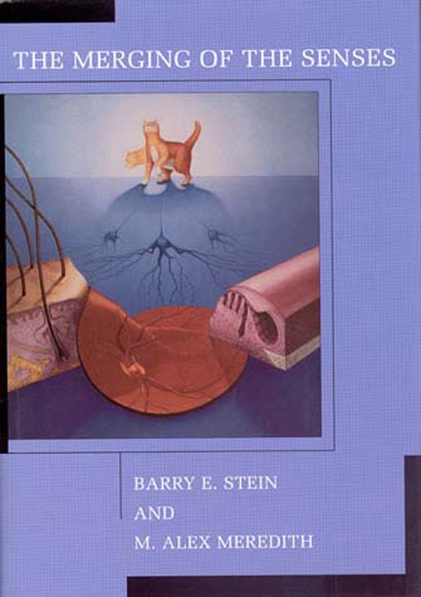 The Merging of the Senses by Barry E. Stein, Paperback | Indigo Chapters