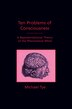 Ten Problems of Consciousness by Michael Tye, Paperback | Indigo Chapters