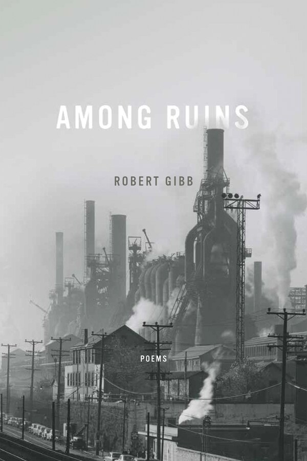Among Ruins by Robert Gibb, Hardcover | Indigo Chapters