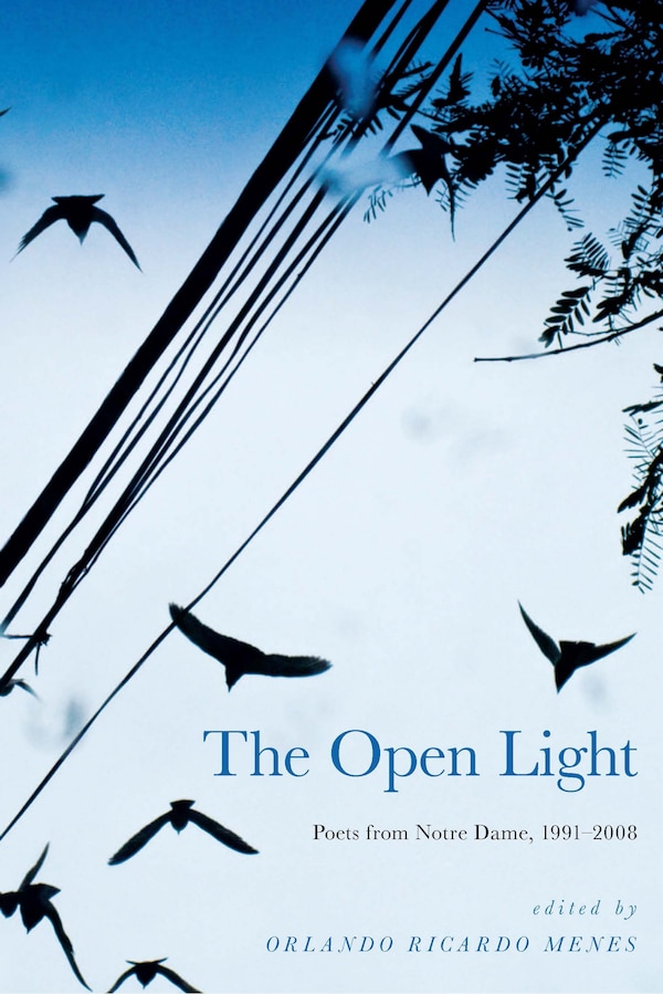 The Open Light by Orlando Ricardo Menes, Hardcover | Indigo Chapters