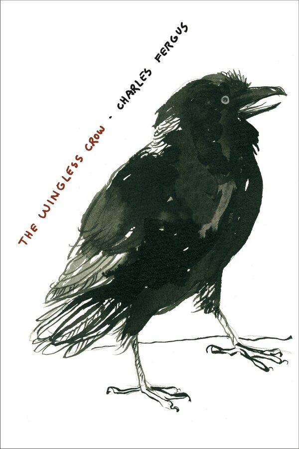 The Wingless Crow by Charles Fergus, Paperback | Indigo Chapters