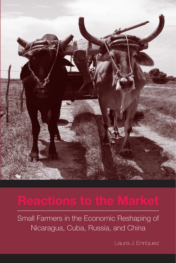 Reactions to the Market by Laura J. Enríquez, Paperback | Indigo Chapters