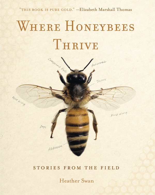 Where Honeybees Thrive by Heather Swan, Paperback | Indigo Chapters
