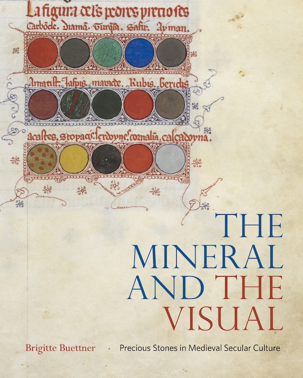 The Mineral and the Visual by Brigitte Buettner, Hardcover | Indigo Chapters