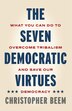 The Seven Democratic Virtues by Christopher Beem, Hardcover | Indigo Chapters