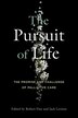The Pursuit of LIfe by Kelsey Spinnato, Paperback | Indigo Chapters