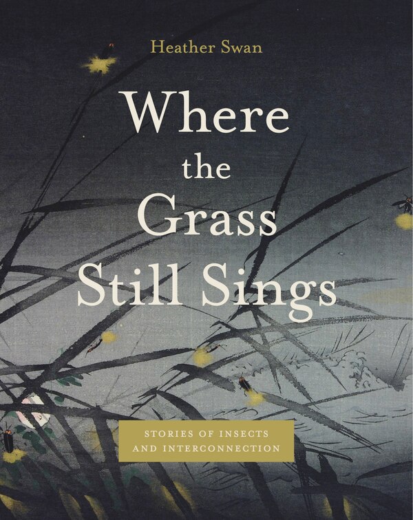 Where the Grass Still Sings by Heather Swan, Paperback | Indigo Chapters