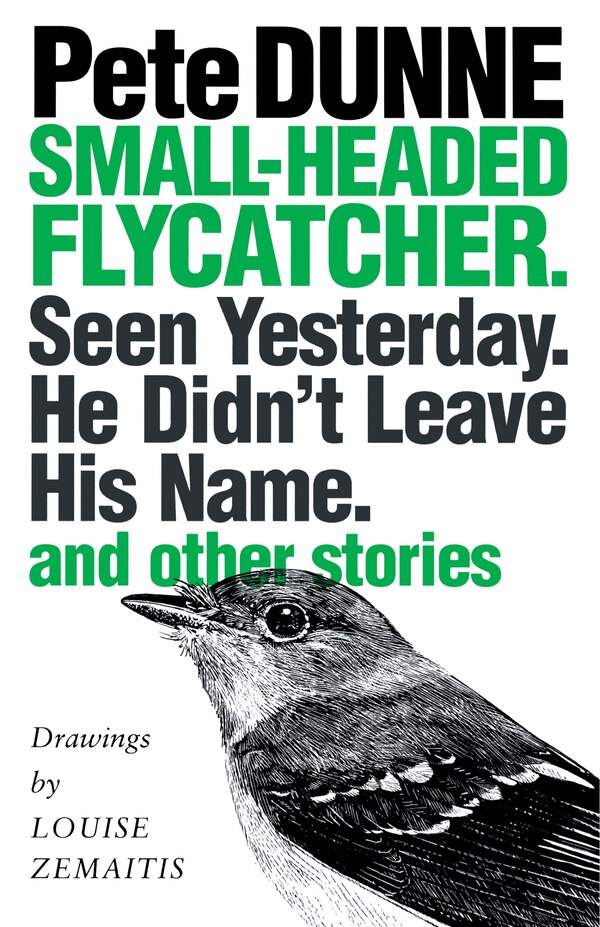 Small-headed Flycatcher. Seen Yesterday. He Didn't Leave His Name by Pete Dunne, Paperback | Indigo Chapters