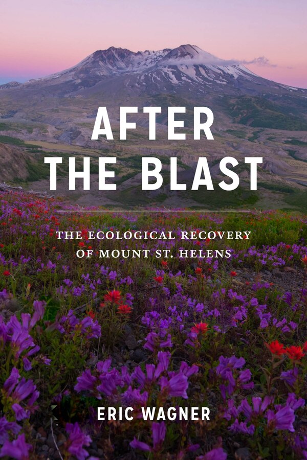 After The Blast by Eric Wagner, Paperback | Indigo Chapters