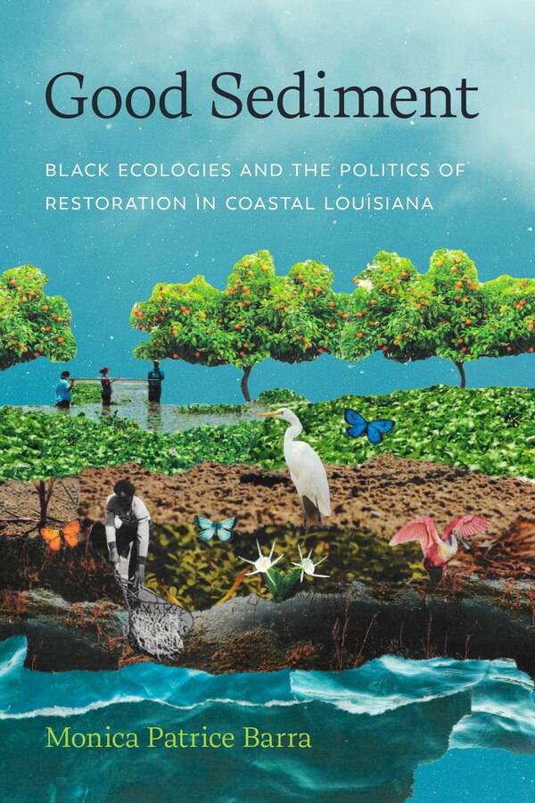 Good Sediment by Monica Patrice Barra, Hardcover | Indigo Chapters