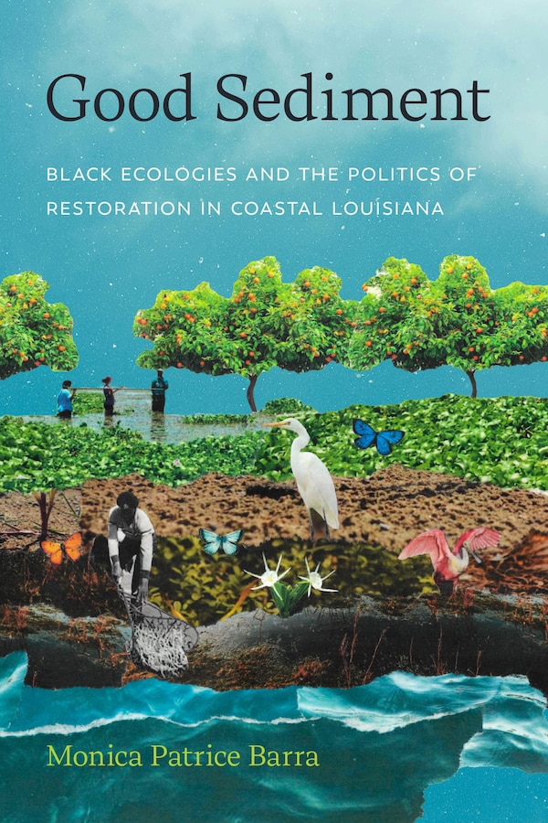 Good Sediment by Monica Patrice Barra, Paperback | Indigo Chapters