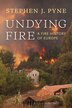 Undying Fire by Stephen J. Pyne, Paperback | Indigo Chapters