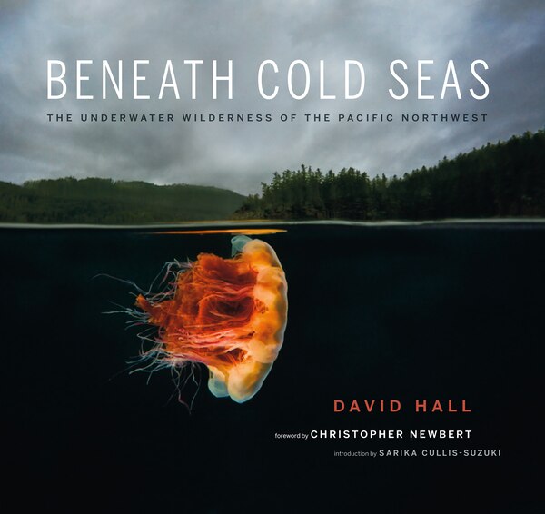 Beneath Cold Seas by David Hall, Paperback | Indigo Chapters