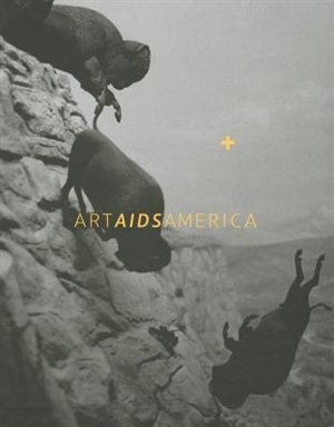 Art AIDS America by Jonathan David Katz, Hardcover | Indigo Chapters