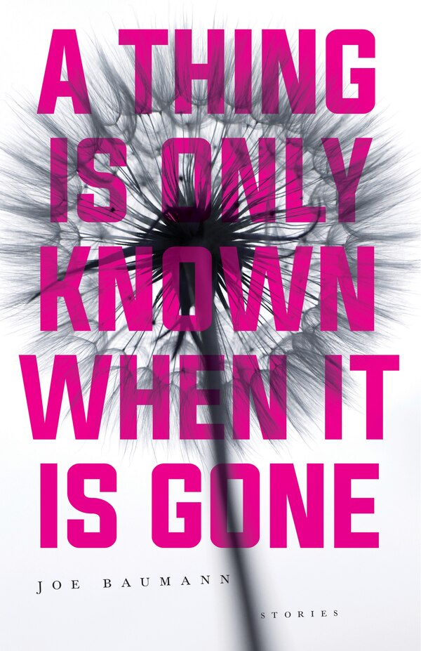 A Thing Is Only Known When It Is Gone by Joe Baumann, Paperback | Indigo Chapters