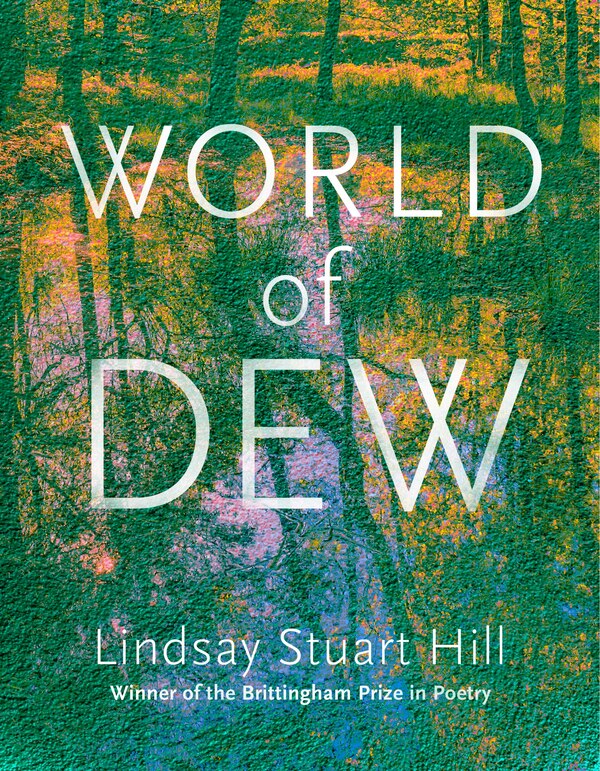 World of Dew by Lindsay Stuart Hill, Paperback | Indigo Chapters
