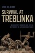Survival at Treblinka by Chad S.A. Gibbs, Hardcover | Indigo Chapters