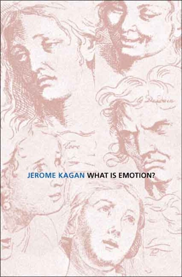 What Is Emotion? by Jerome Kagan, Paperback | Indigo Chapters