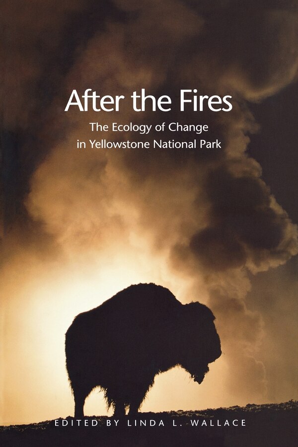 After the Fires by Linda L. Wallace, Paperback | Indigo Chapters