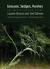 Grasses Sedges Rushes by Lauren Brown, Paperback | Indigo Chapters