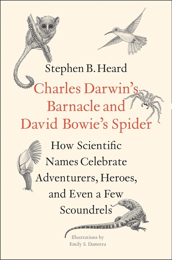 Charles Darwin's Barnacle And David Bowie's Spider by Stephen B. Heard, Hardcover | Indigo Chapters