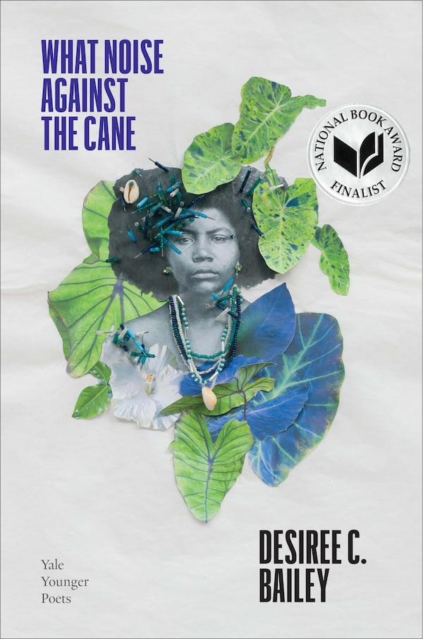 What Noise Against The Cane by Desiree C. Bailey, Paperback | Indigo Chapters