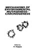 Mechanisms of Environmental Mutagenesis-Carcinogenesis by European Environmental Mutagen Society, Hardcover | Indigo Chapters