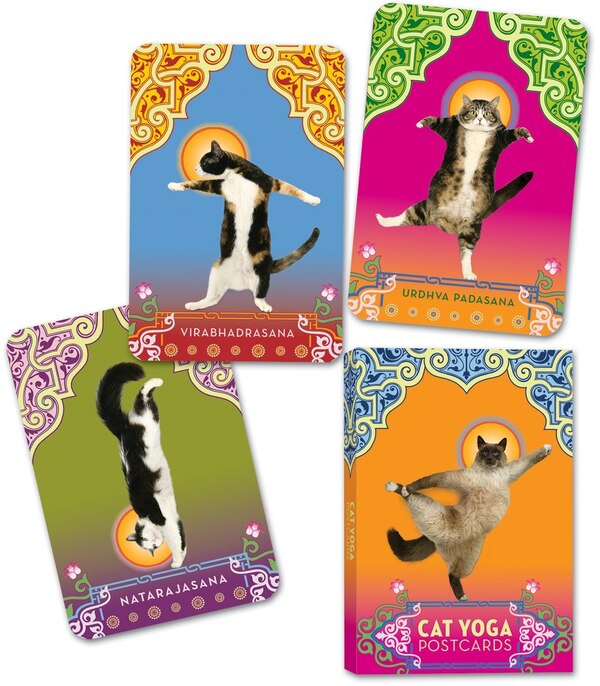 Cat Yoga Postcards by Rick Tillotson, Paperback | Indigo Chapters