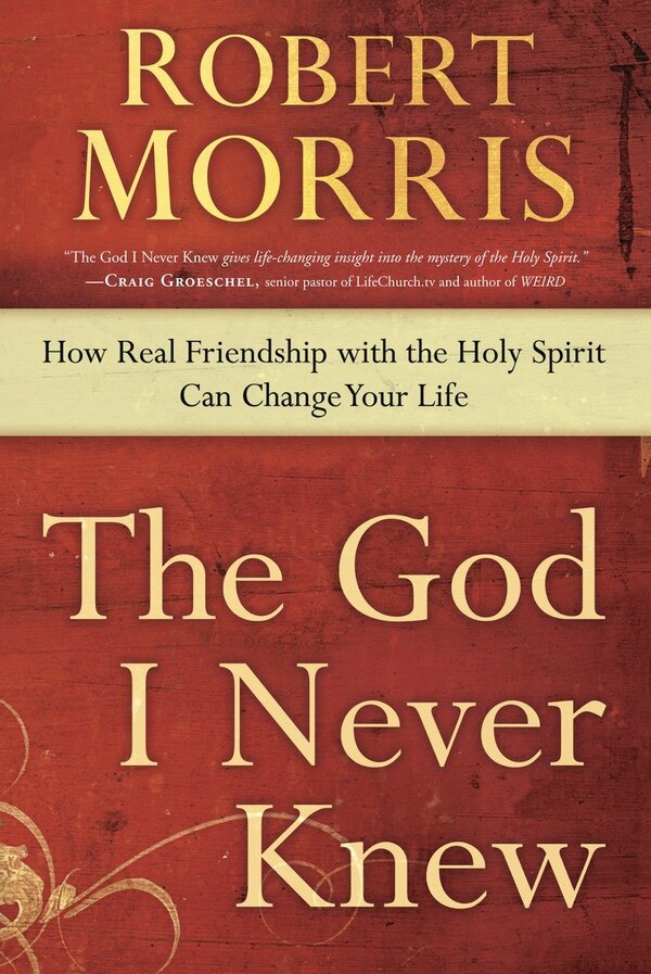 The God I Never Knew by Robert Morris, Paperback | Indigo Chapters