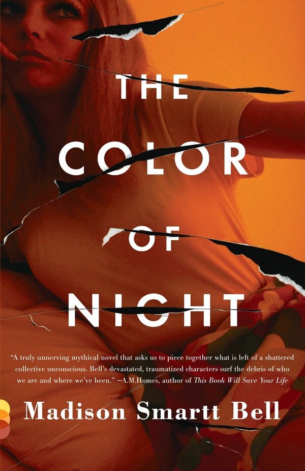 The Color Of Night by Madison Smartt Bell, Paperback | Indigo Chapters