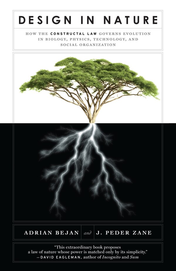 Design In Nature by Adrian Bejan, Paperback | Indigo Chapters