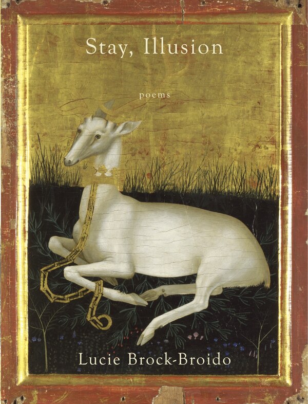 Stay Illusion by Lucie Brock-broido, Paperback | Indigo Chapters