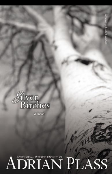 Silver Birches by Adrian Plass, Paperback | Indigo Chapters