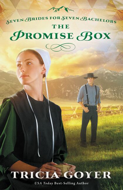 The Promise Box by Tricia Goyer, Paperback | Indigo Chapters