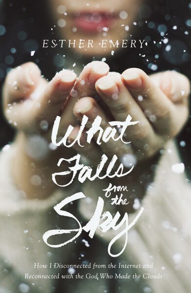 What Falls From The Sky by Esther Emery, Hardcover | Indigo Chapters