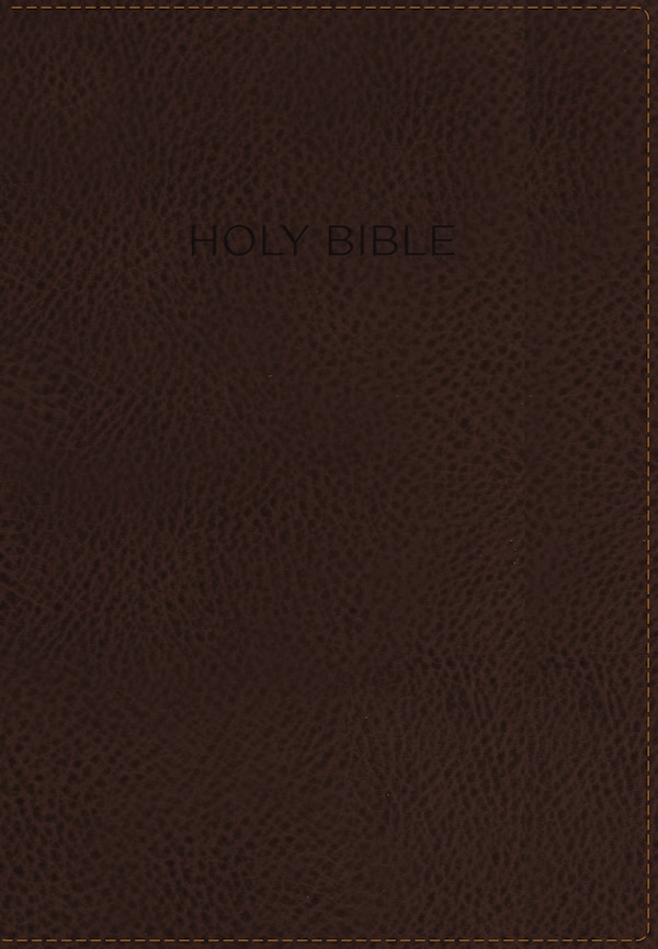 Niv Foundation Study Bible Leathersoft Brown Red Letter Thumb Indexed by Zondervan, Leather/Fine Binding | Indigo Chapters