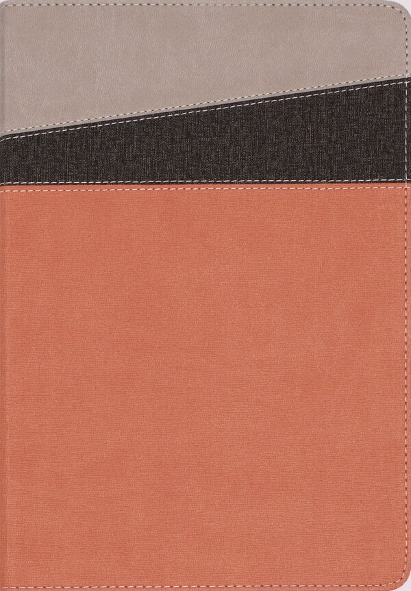 NIV Application Bible Leathersoft Coral/Gray Red Letter Thumb Indexed Comfort Print by Zondervan, Leather/Fine Binding | Indigo Chapters