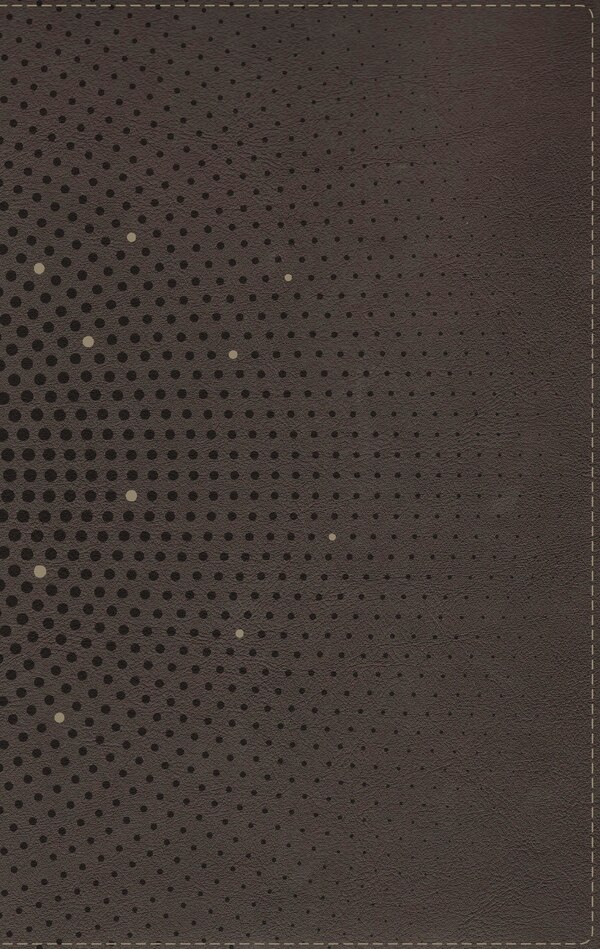 NIV Clear Focus Bible Leathersoft Charcoal Brown by Zondervan, Leather/Fine Binding | Indigo Chapters